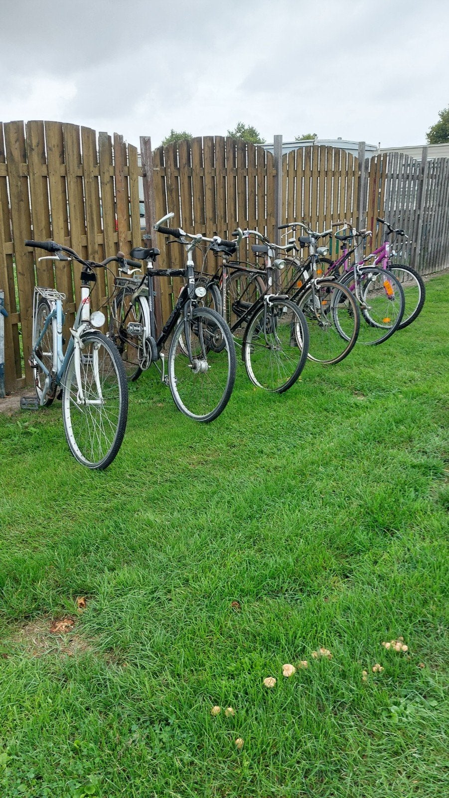 Studenten fietsen., Fietsen en Brommers, Ophalen
