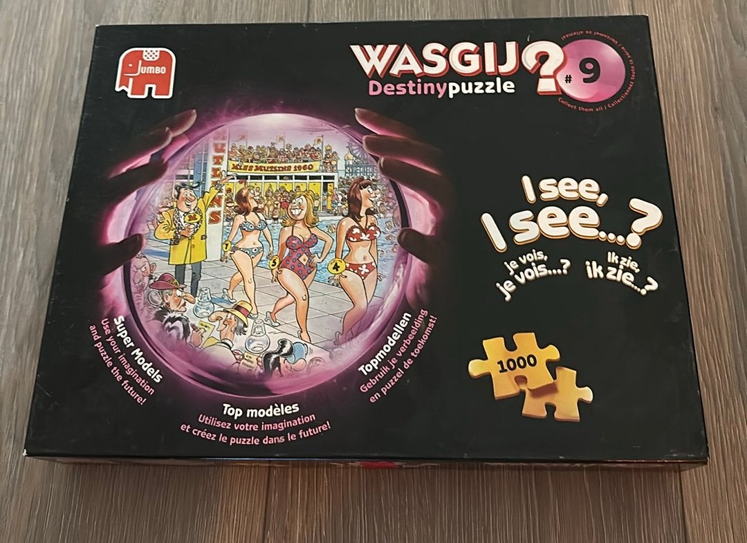 Puzzel Wasgij Destiny puzzle, Enlèvement, Comme neuf