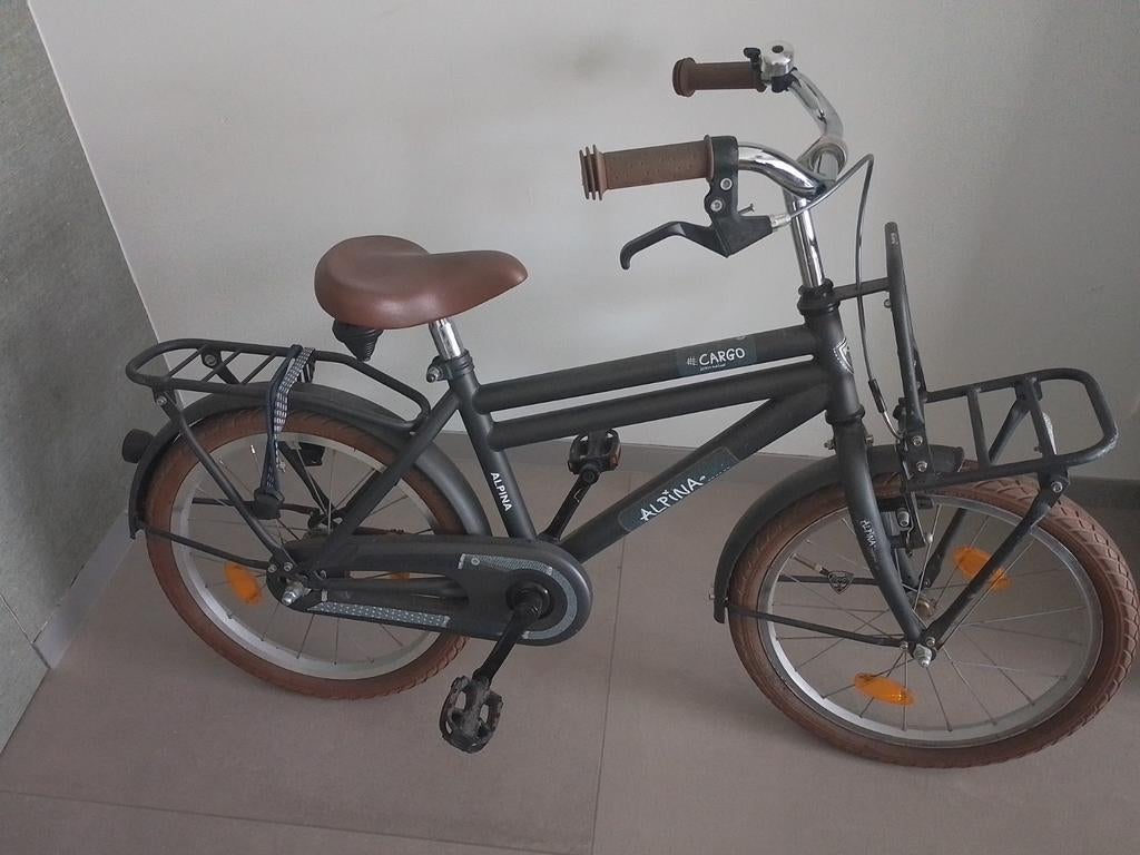 Kinderfiets 18 inch Alpina Cargo, Fietsen en Brommers, Ophalen