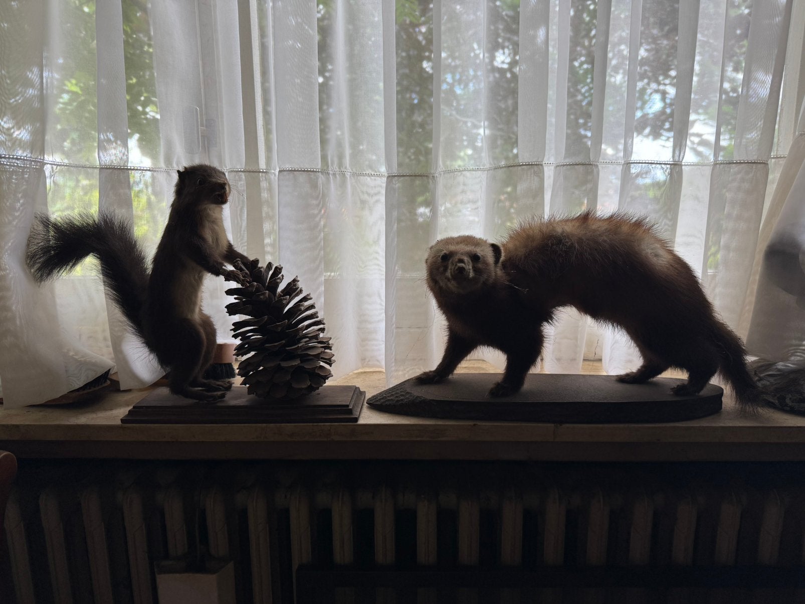 ANIMAUX EN PELUCHE 🦫, Enlèvement, Comme neuf