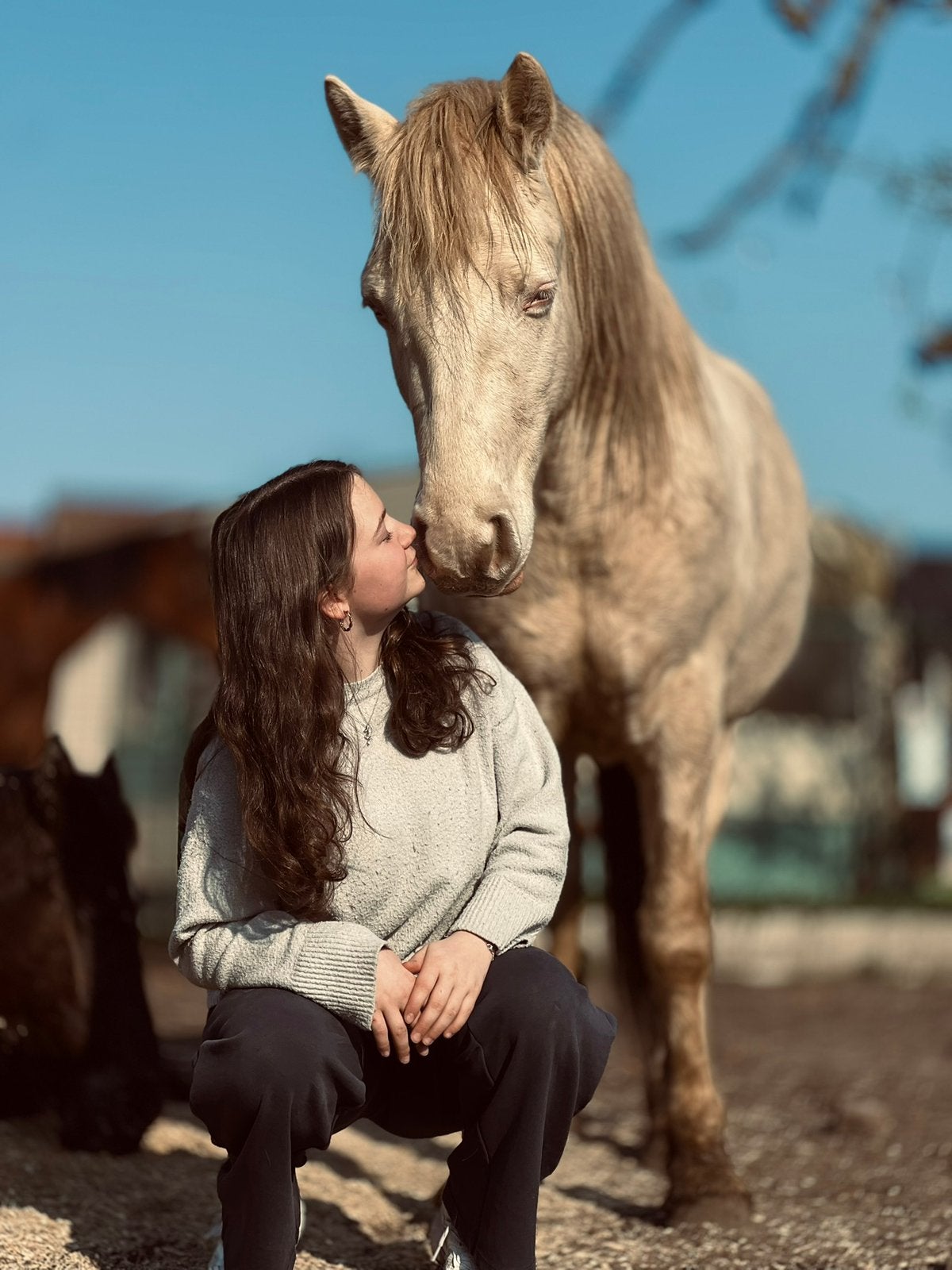 Lieve connemara pony 5 jaar, Enlèvement, Comme neuf