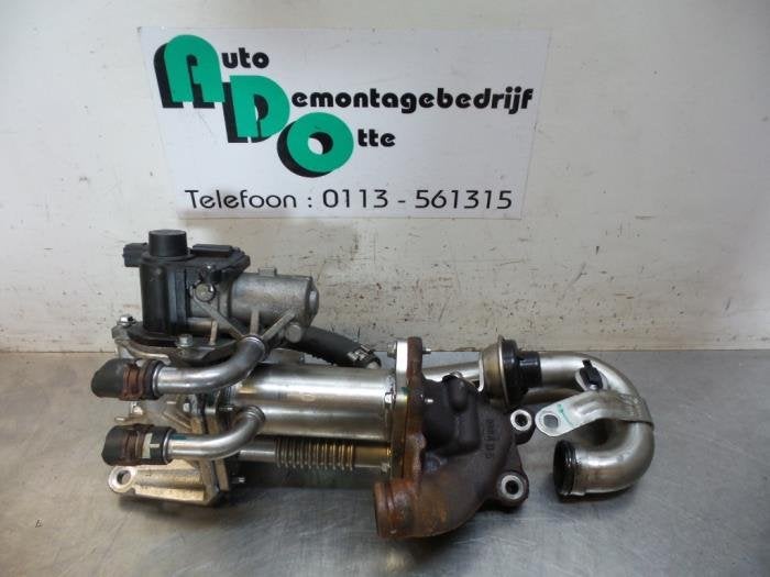 Valve RGE d'un Renault Clio (Clio 4 12-), Renault, -, 3 mois de garantie, Utilisé
