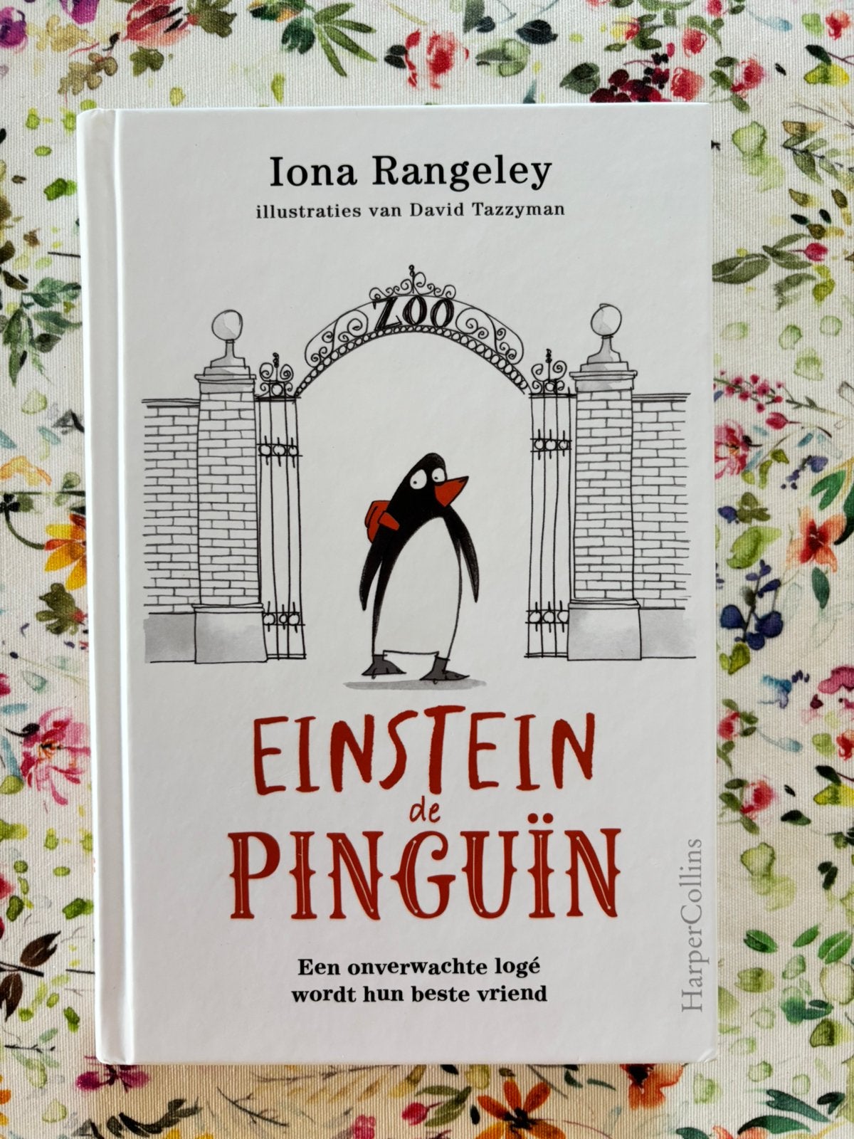 Iona Rangeley - Einstein de pinguïn, Boeken, Kinderboeken | Jeugd | onder 10 jaar, Zo goed als nieuw, Fictie algemeen, Ophalen of Verzenden