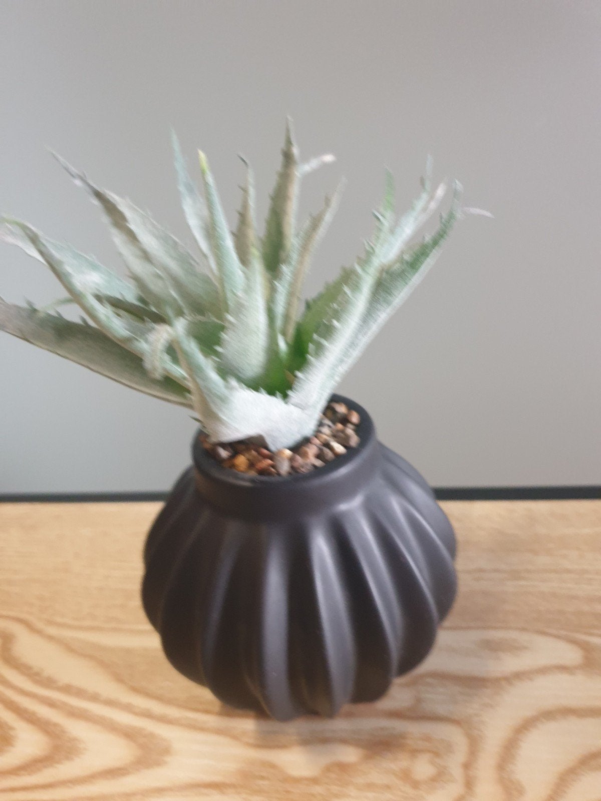 kunstofplant., Huis en Inrichting, Ophalen