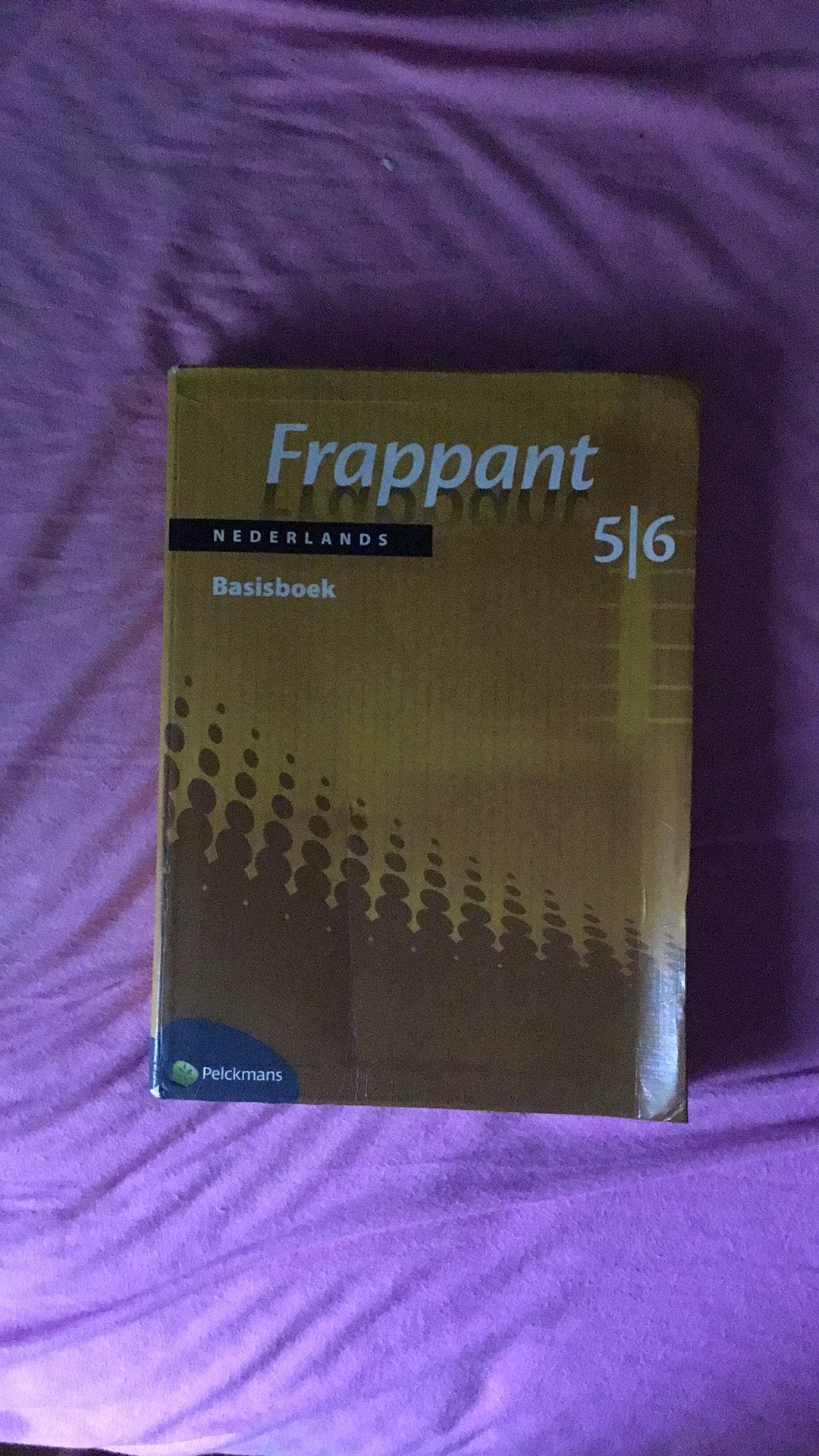 Frappant nederlands basisboek 5 6, Boeken, Woordenboeken, Ophalen of Verzenden, Gelezen, Nederlands