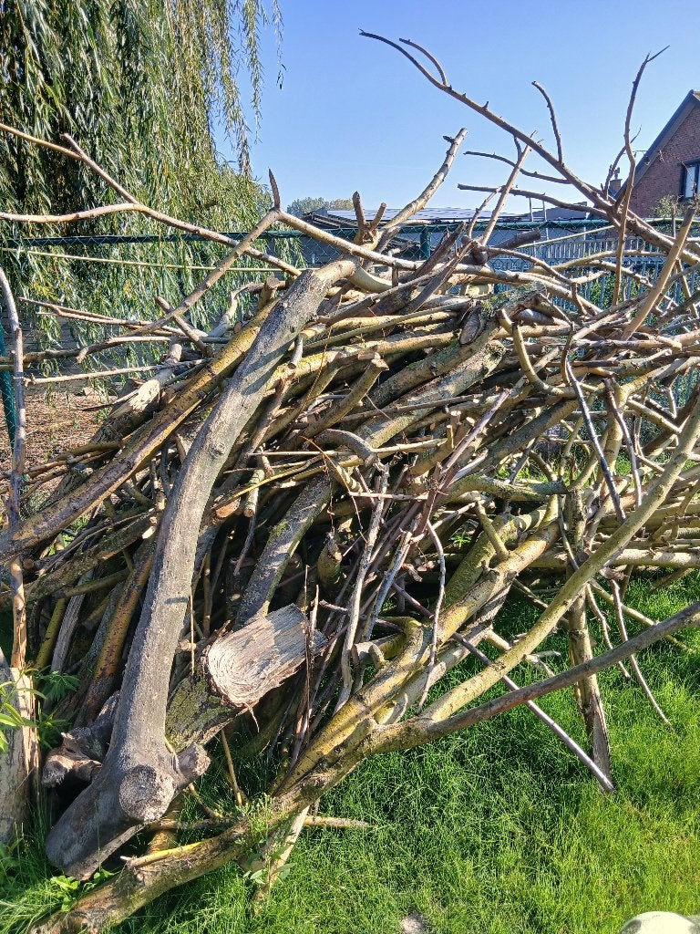 hout, Moins de 3 m³, Enlèvement, Autres essences de bois, Troncs d'arbres