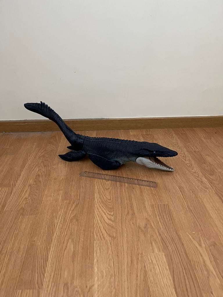 Grote mosasaurus, Enlèvement, Utilisé