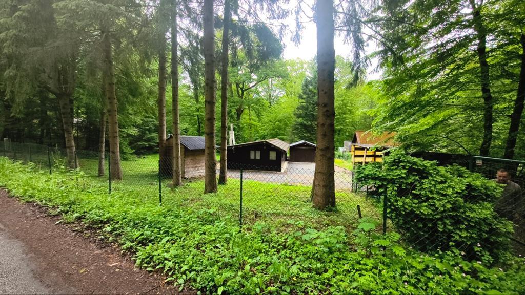 Chalet in uniek bosrijk domein in couvin