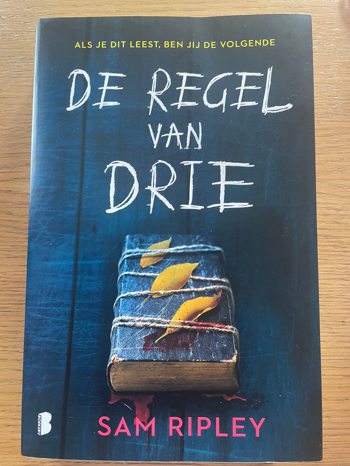 S. Ripley - De regel van drie, Enlèvement, S. Ripley