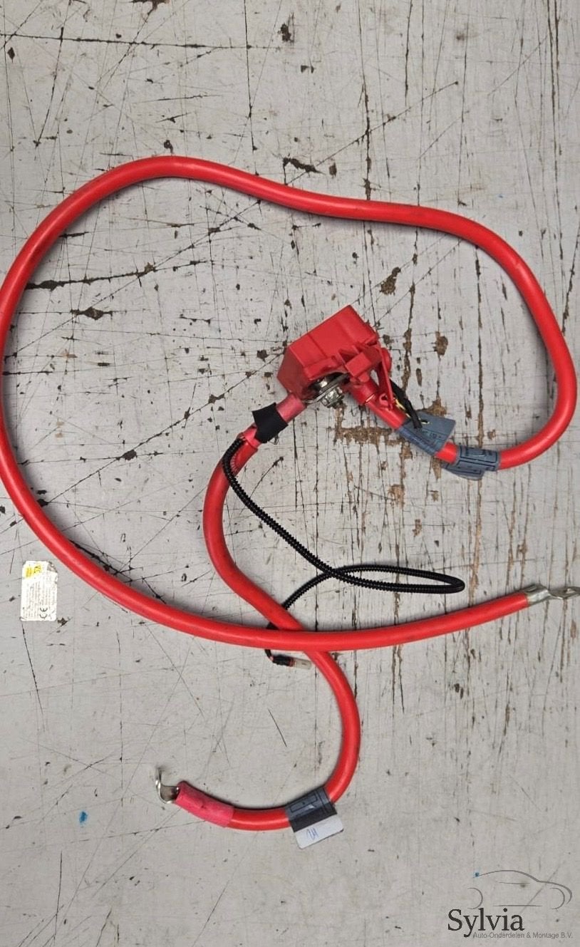 Kabelboom hoofdstroom pluskabel met ongeval sensor BMW 5 ser, -, Utilisé, -, -