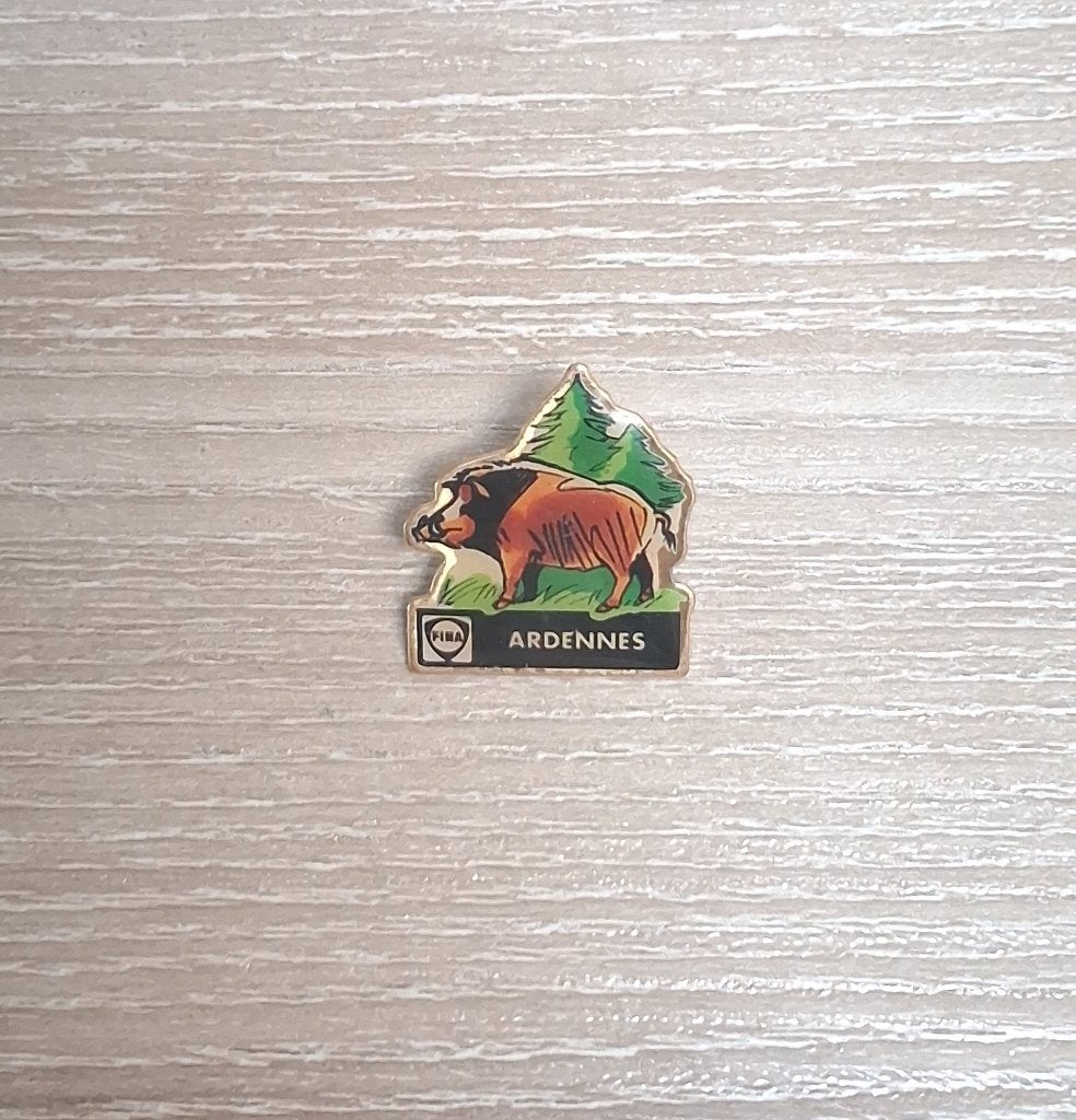 PIN - FINA - ARDENNES - EVERZWIJN - SANGLIER, Verzenden, Transport, Speldje of Pin
