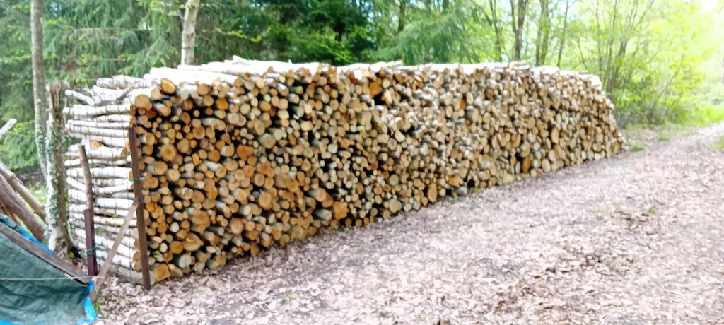 Bois de chauffage, 6 m³ ou plus, Enlèvement, Bouleau, Bûches