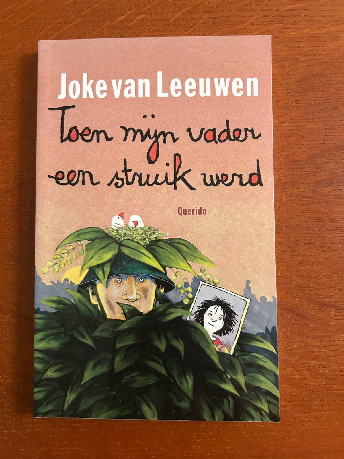 Jeugdboek. Toen mijn vader een struik werd.Joke Van Leeuwen, Boeken, Kinderboeken | Jeugd | 10 tot 12 jaar, Ophalen of Verzenden