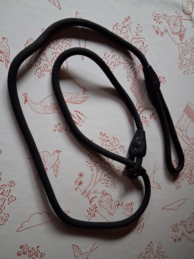 Leiband voor grote hond, Dieren en Toebehoren, Ophalen, Zo goed als nieuw, Hondenriem