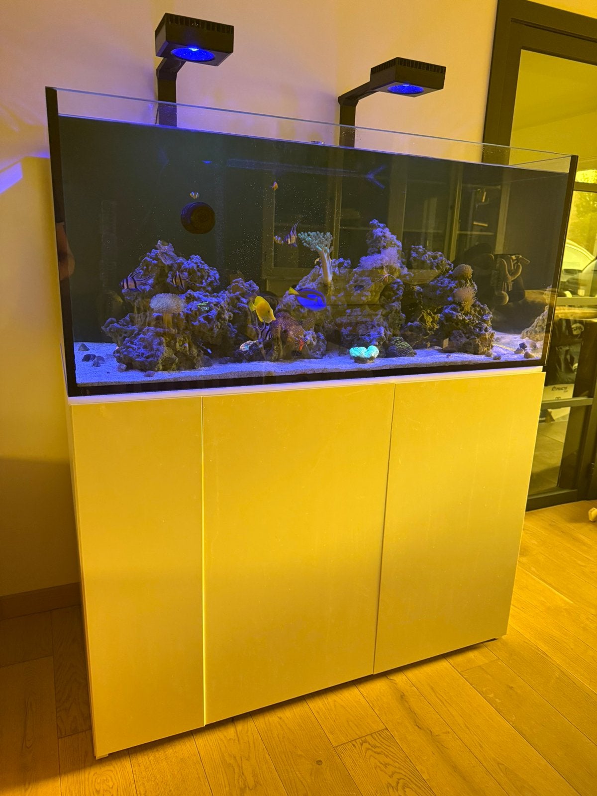 Aqua medic armatus 500XD, Animaux & Accessoires, Enlèvement, Utilisé, Filter, Aqua Medic