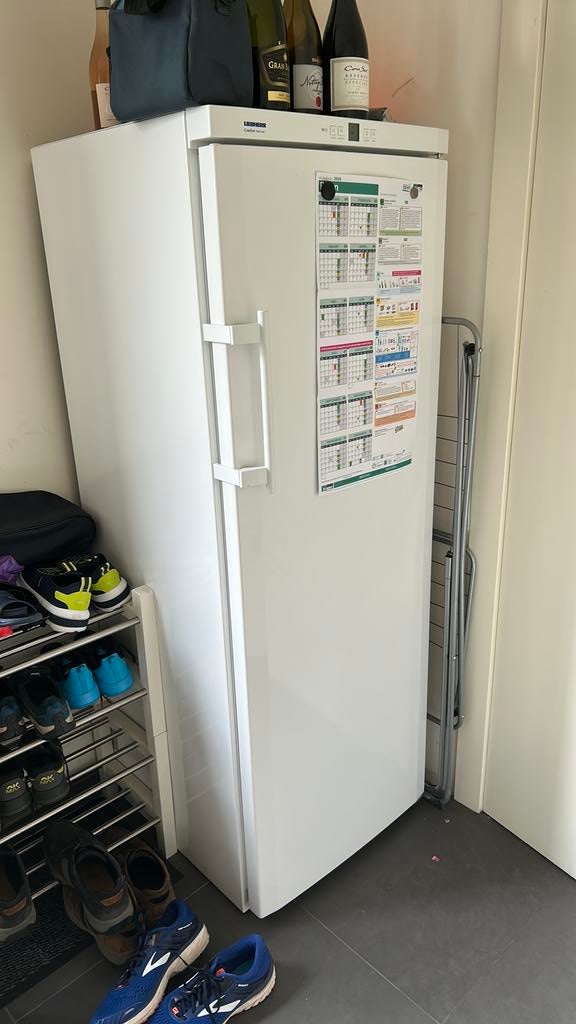 Diepvries Liebhert GNP 2713  221 liter, Elektronische apparatuur, Vriezers en Diepvrieskisten, Gebruikt, Energieklasse A of zuiniger