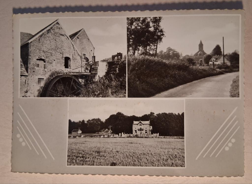 Vintage Postkaart Schornisse, Enlèvement ou Envoi