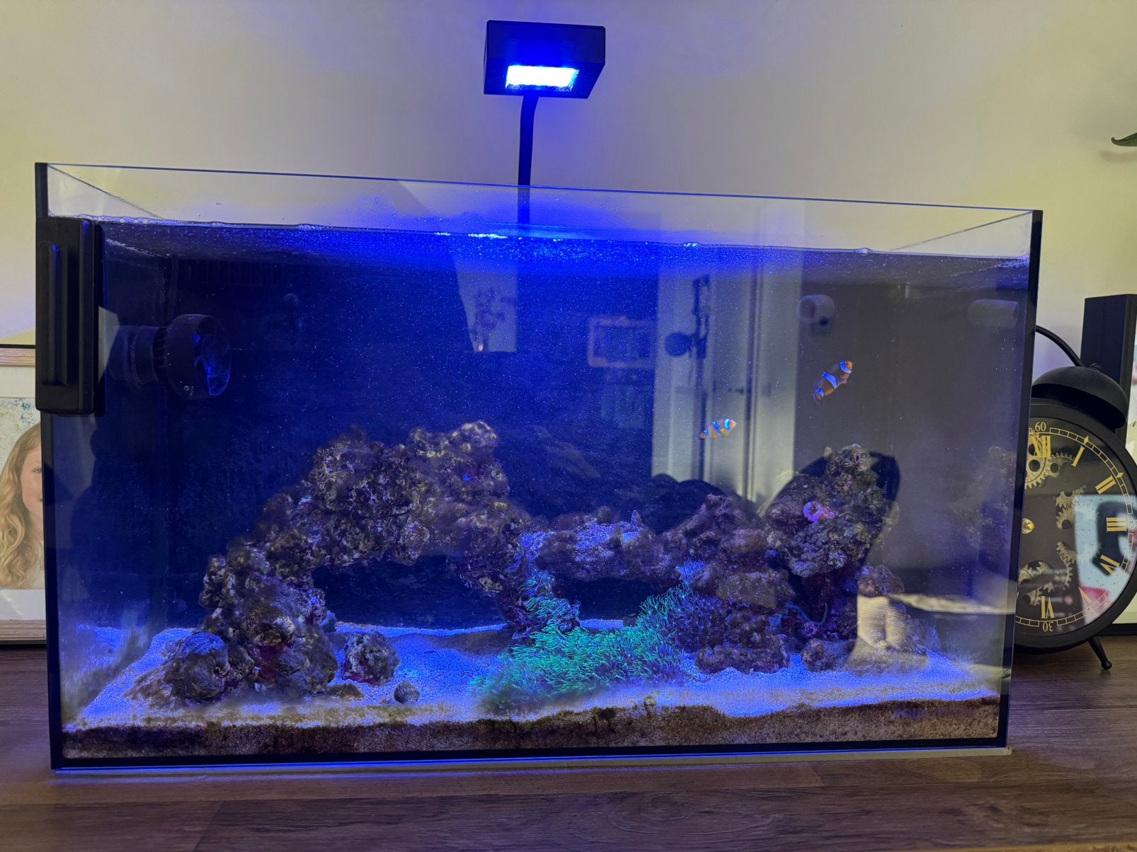 Aquamedic Yasha 70 - compleet zeeaquarium, Ophalen, Gevuld zeewateraquarium, Inclusief toebehoren, Zo goed als nieuw