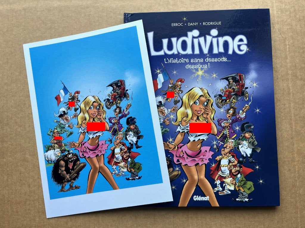 Ludivine T1 + XL - L'histoire sans dessous ...- Dany- EO2016, Envoi