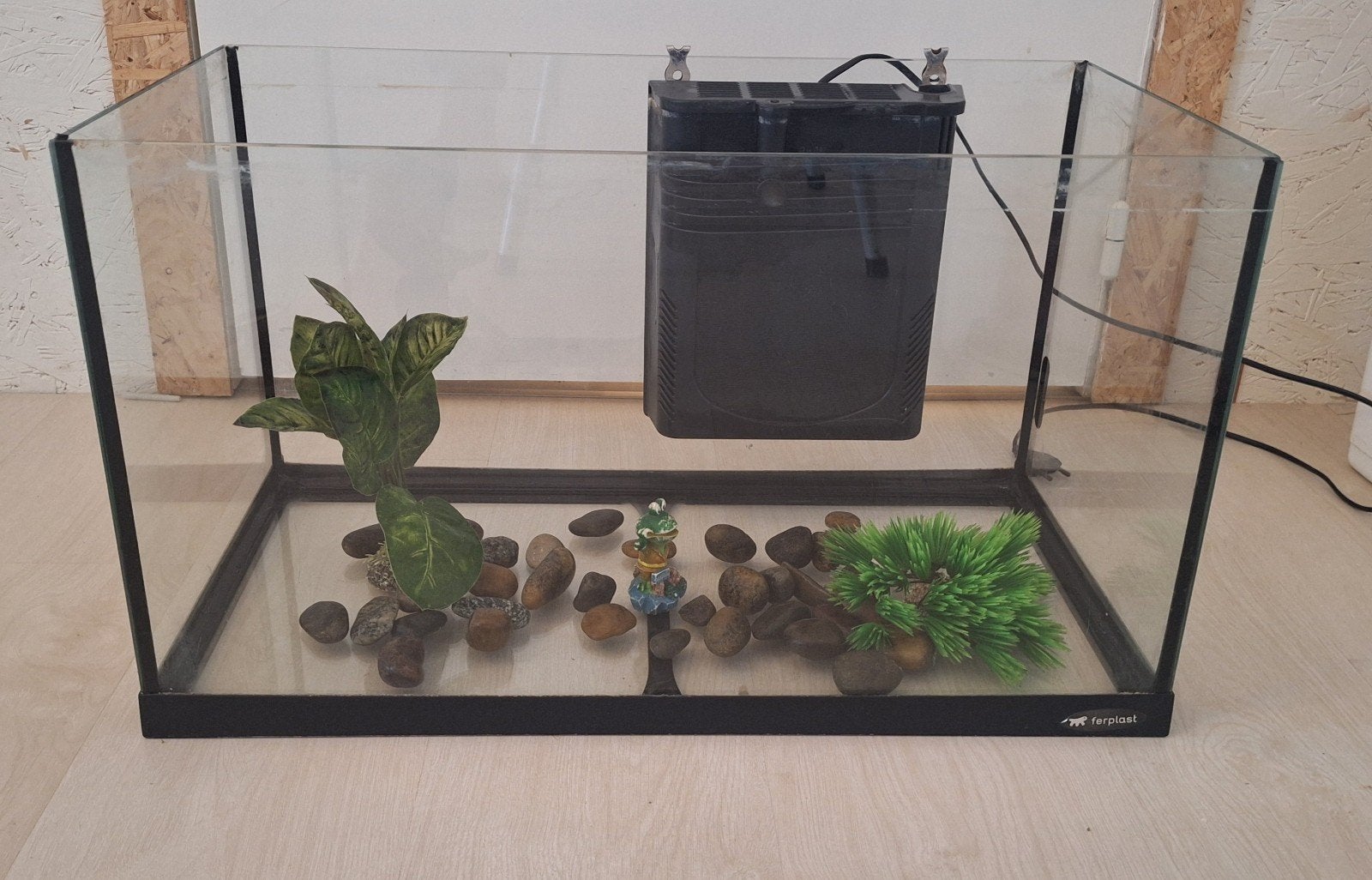 Aquarium, Dieren en Toebehoren, Vis
