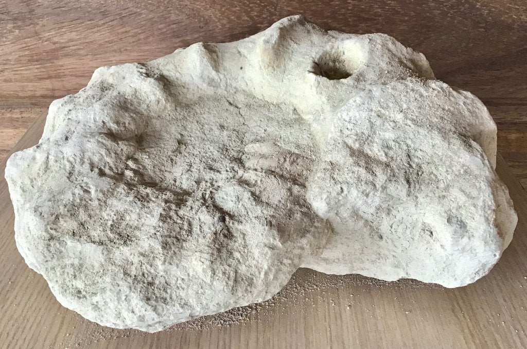Ammoniet uit het krijt tijdperk 28 x 22 x 12 cm - 7,745 kg., Ophalen, Fossiel