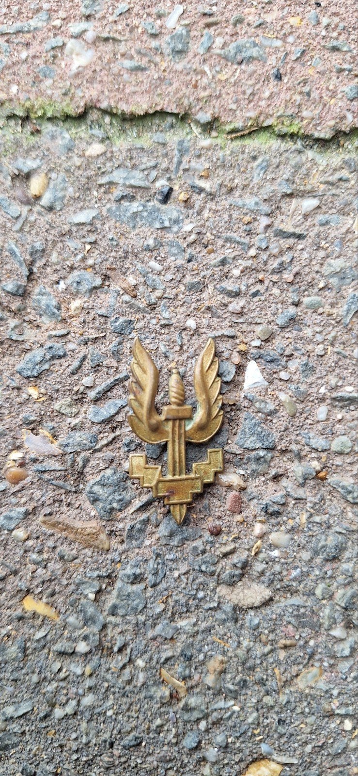 Paracommando-insigne, Verzamelen, Ophalen