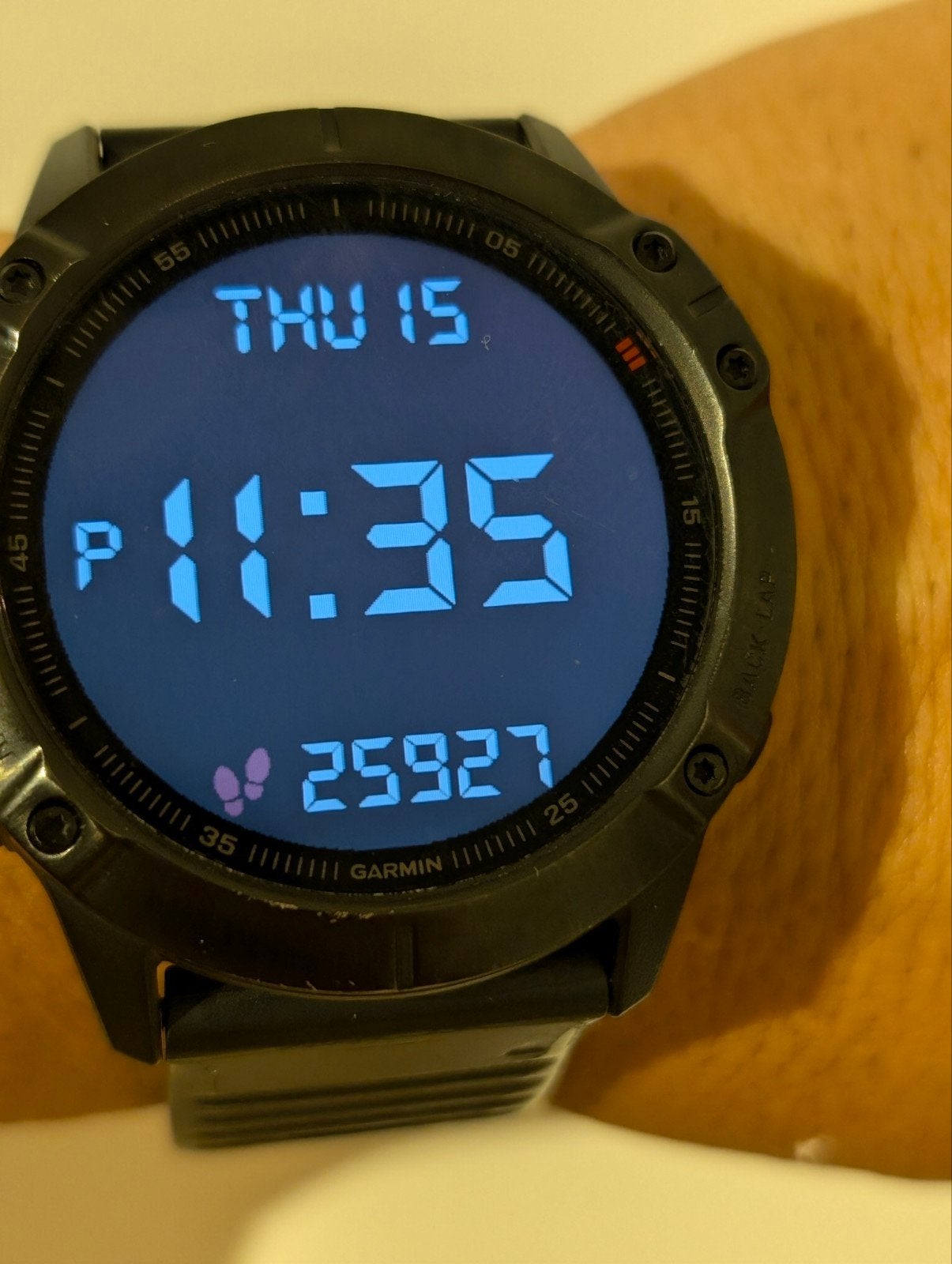 Garmin Fenix 6X, Ophalen