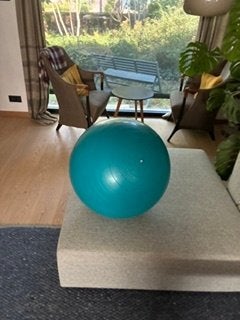 blauwe zitbal, Sport en Fitness, Fitnessmaterialen, Ophalen, Gebruikt, Overige typen
