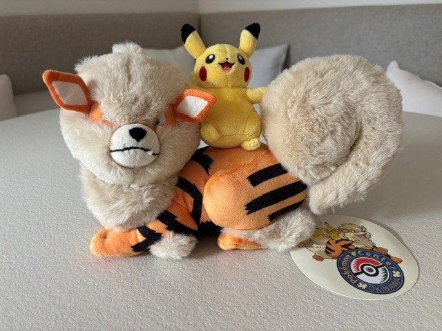 Pokemon Center Okinawa Limited Pikachu & Arcanine Knuffel, Enlèvement ou Envoi, Neuf, Autres types
