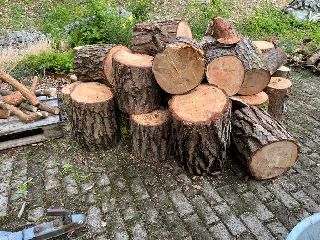 Brandhout naaldhout, Tuin en Terras, Brandhout, Minder dan 3 m³, Ophalen, Overige houtsoorten, Stammen