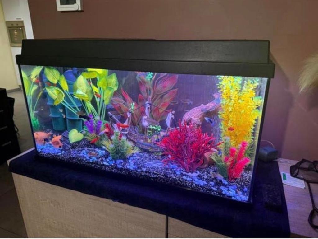 Lege aquarium, Ophalen, Zo goed als nieuw