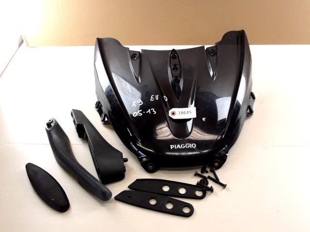 X9 500 Evolution 2005 - 2013 Piaggio Scherm D1-35107, Motoren
