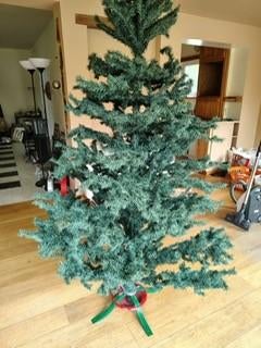 sapin de noel, Enlèvement, Utilisé