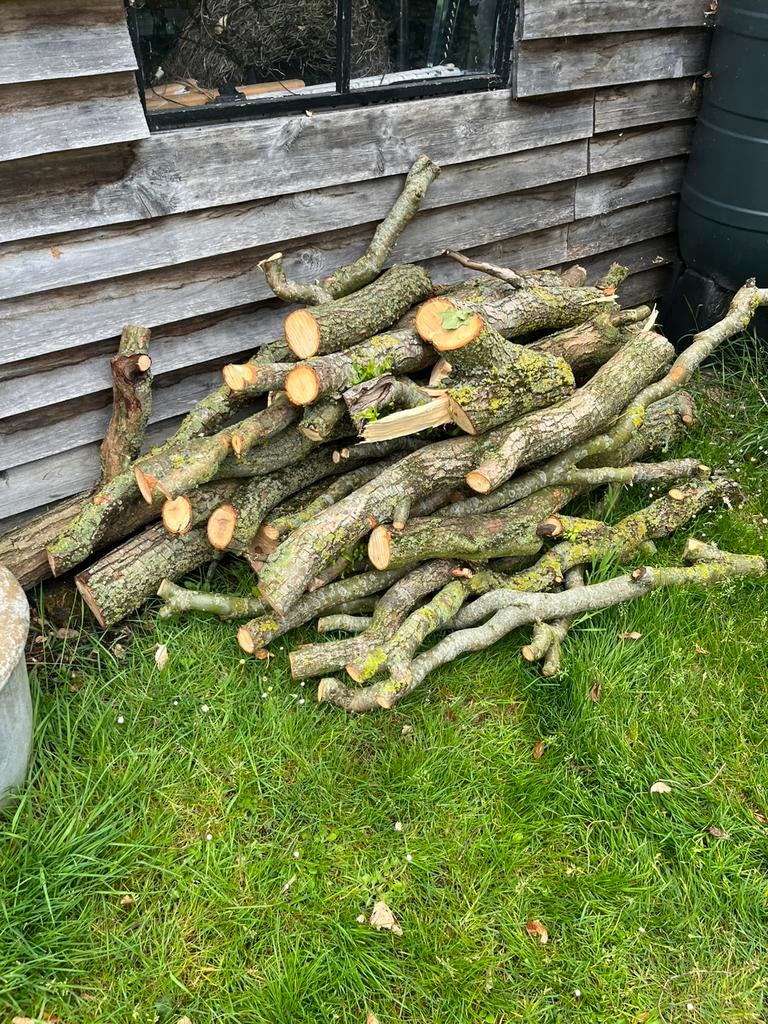 Brandhout, Tuin en Terras, Ophalen