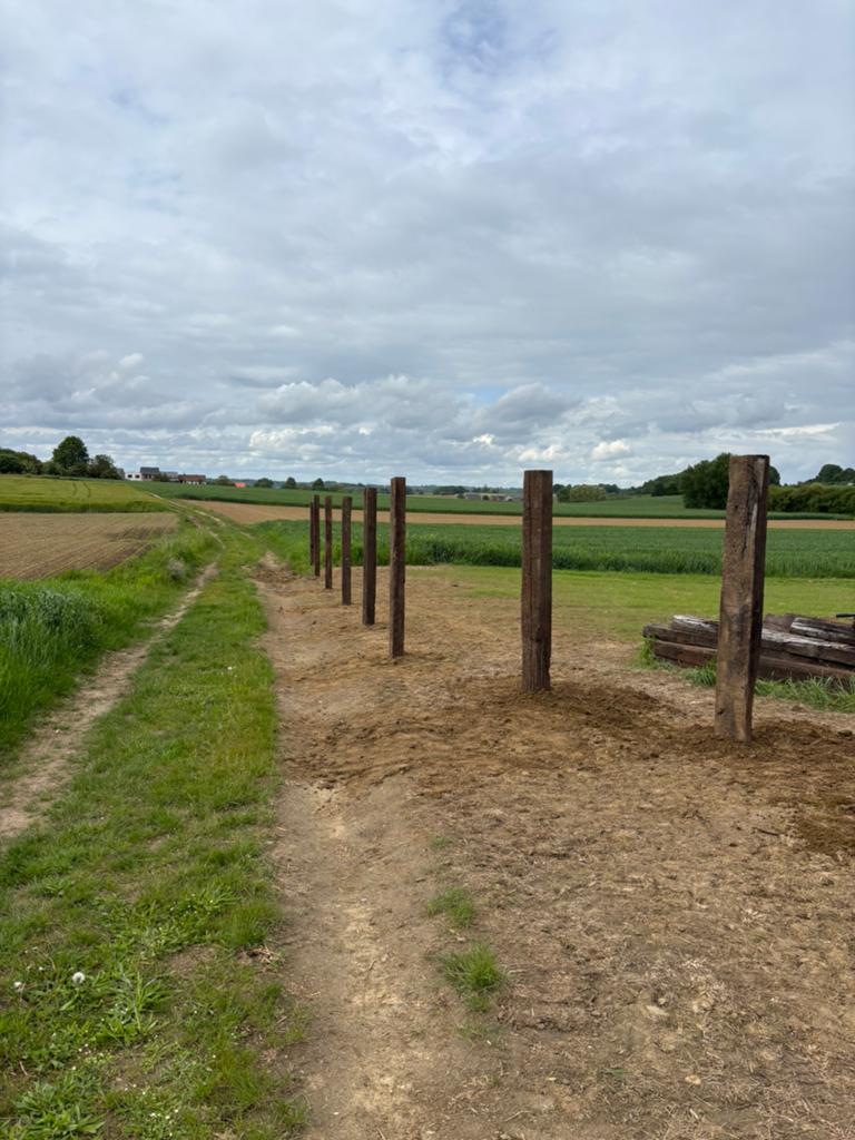 Treinbilzen | Spoorbielzen, Dieren en Toebehoren, Weidegang