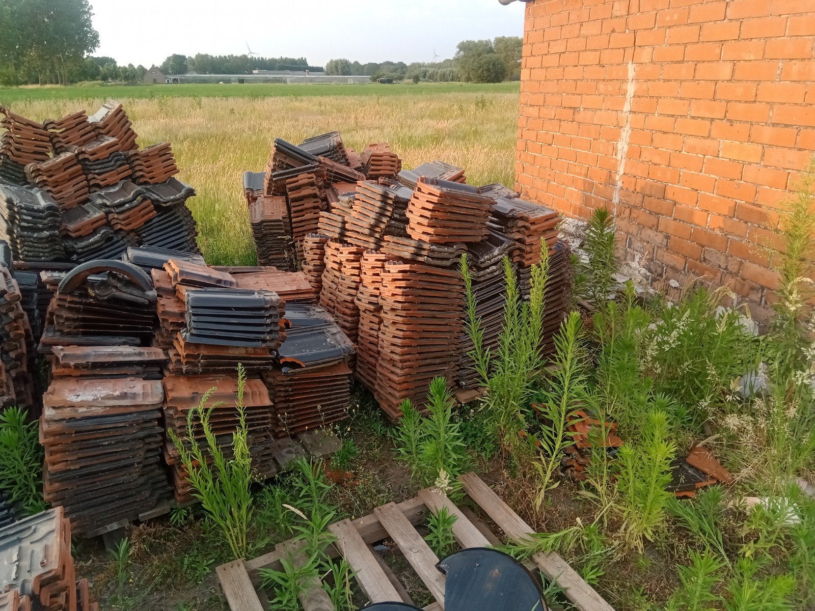 Tuiles de toit + tuiles faîtières + tuiles de façade. En bon, Bricolage & Construction, Pierre ou Argile, Enlèvement, Utilisé