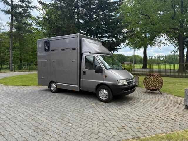 Paardencamionette Fiat Ducato, Dieren en Toebehoren, Ophalen, Gebruikt, Aluminium, 2-paards trailer
