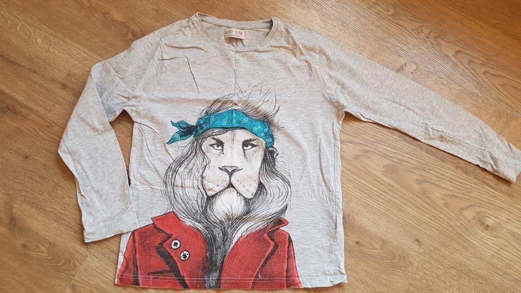 grijze longsleeve met tekening leeuw van ZARA maat 140, Kinderen en Baby's, Gebruikt, Ophalen of Verzenden, Shirt of Longsleeve