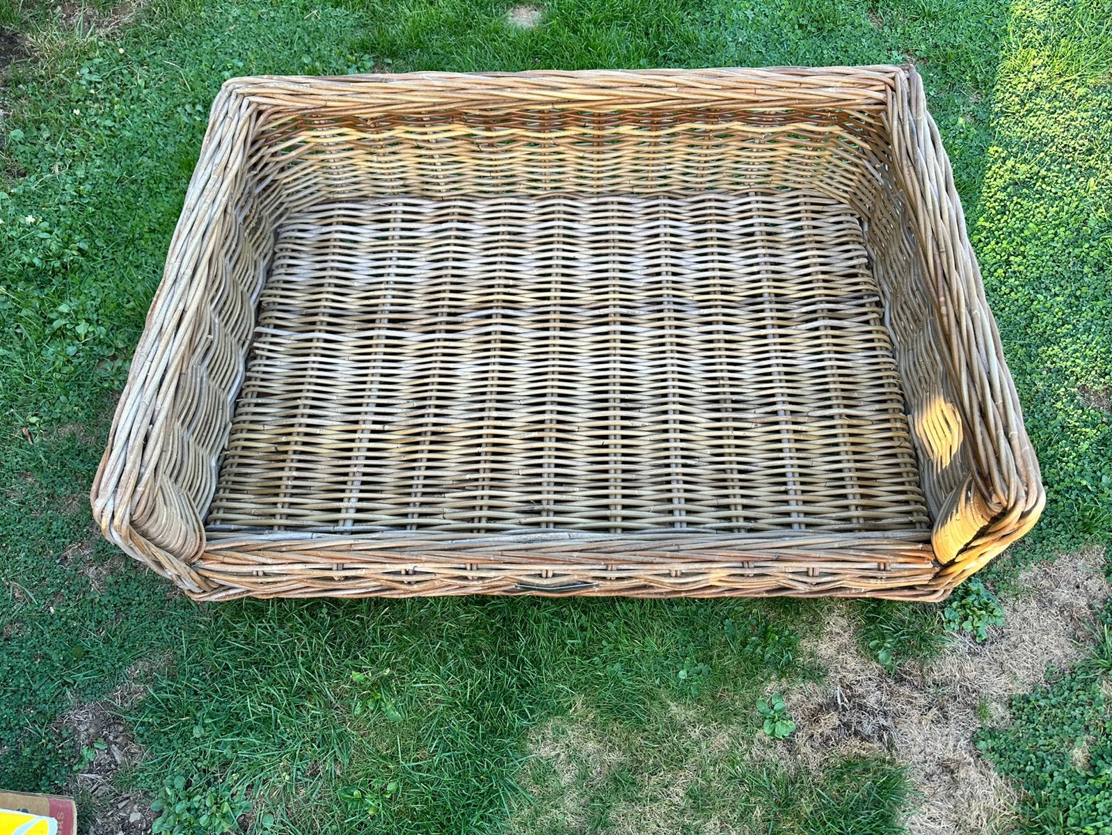 Panier pour chien, Enlèvement, Roseau