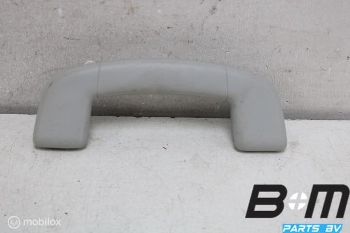 Handgreep voorzijde VW E-Golf 7 5G0857607B, Gebruikt