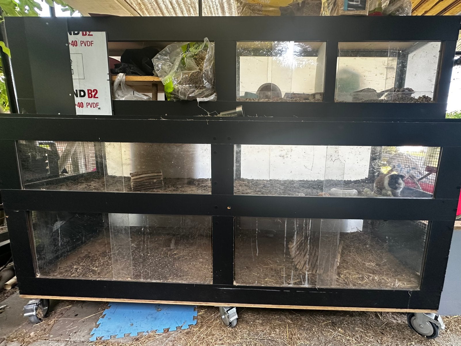 Grote handgemaakte buitenkooi met cavia en muisje, Dieren en Toebehoren, Ophalen, Gebruikt