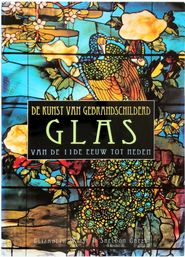boek de kunst van gebrandschilderd glas, Enlèvement ou Envoi, Comme neuf, Architecture, Elisabeth Wylie & Sheldon Cheek