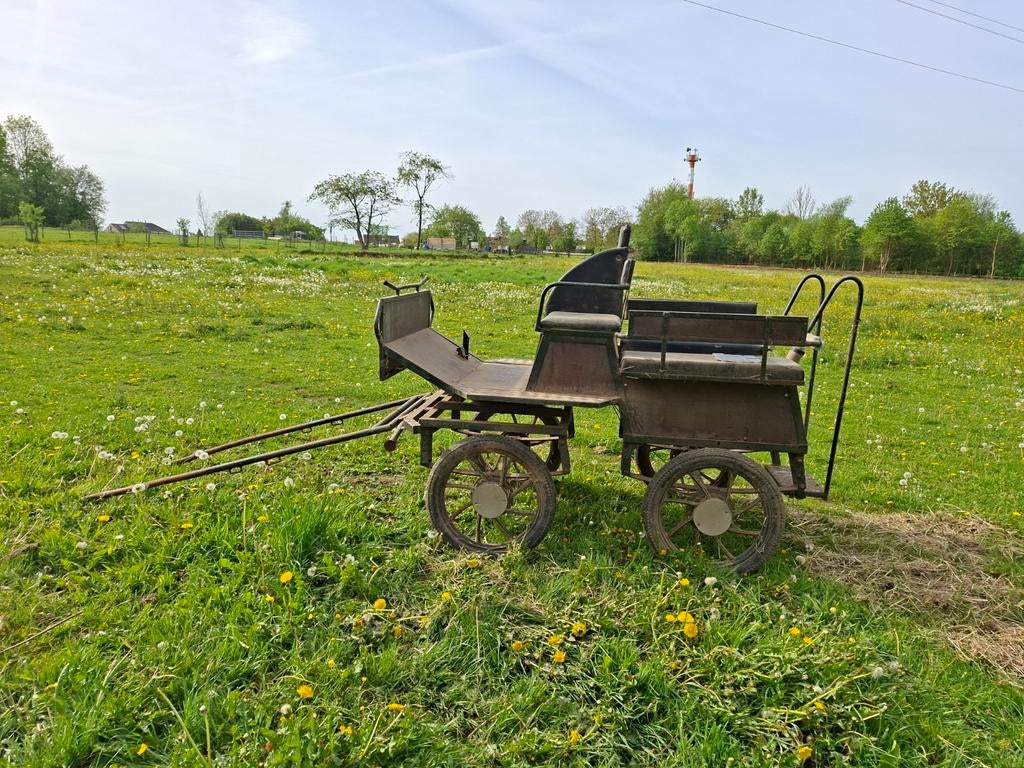 Geremde recreatiekoets op luchtbanden te koop, Paard