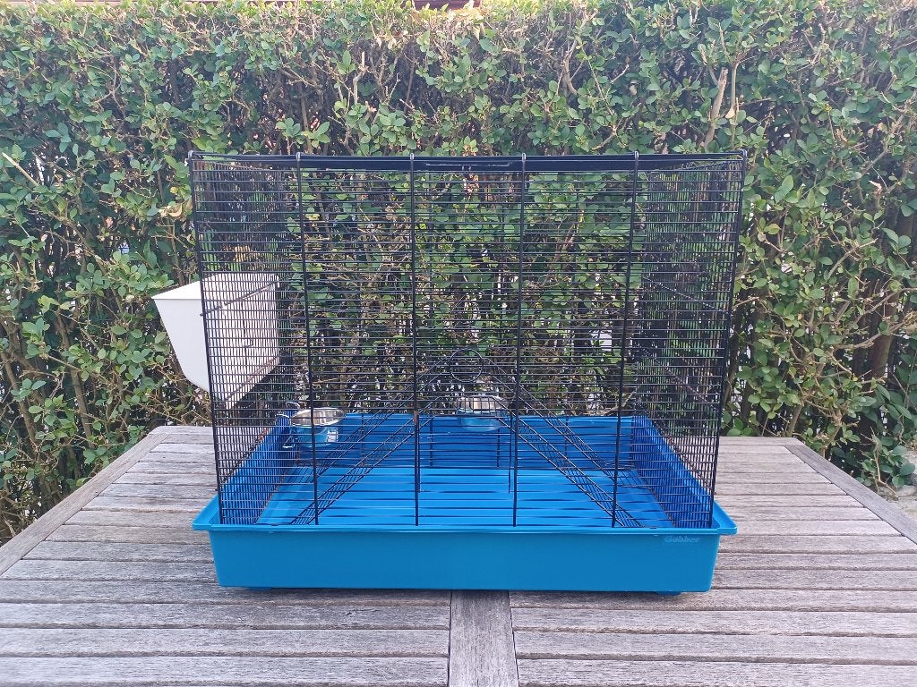 cage pour oiseau ou rat, Enlèvement, Utilisé, Autres matériaux, Autres types