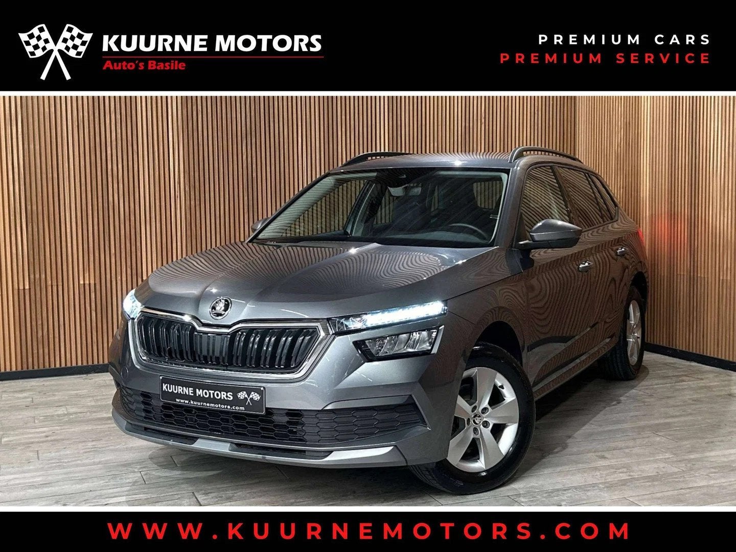 Skoda Kamiq 1.0 TSI Alu16"/Leder/VerwZet/Cruise/Led/Cam/Bt *, Autos, Skoda, Cuir, Argent ou Gris, Achat, Entreprise