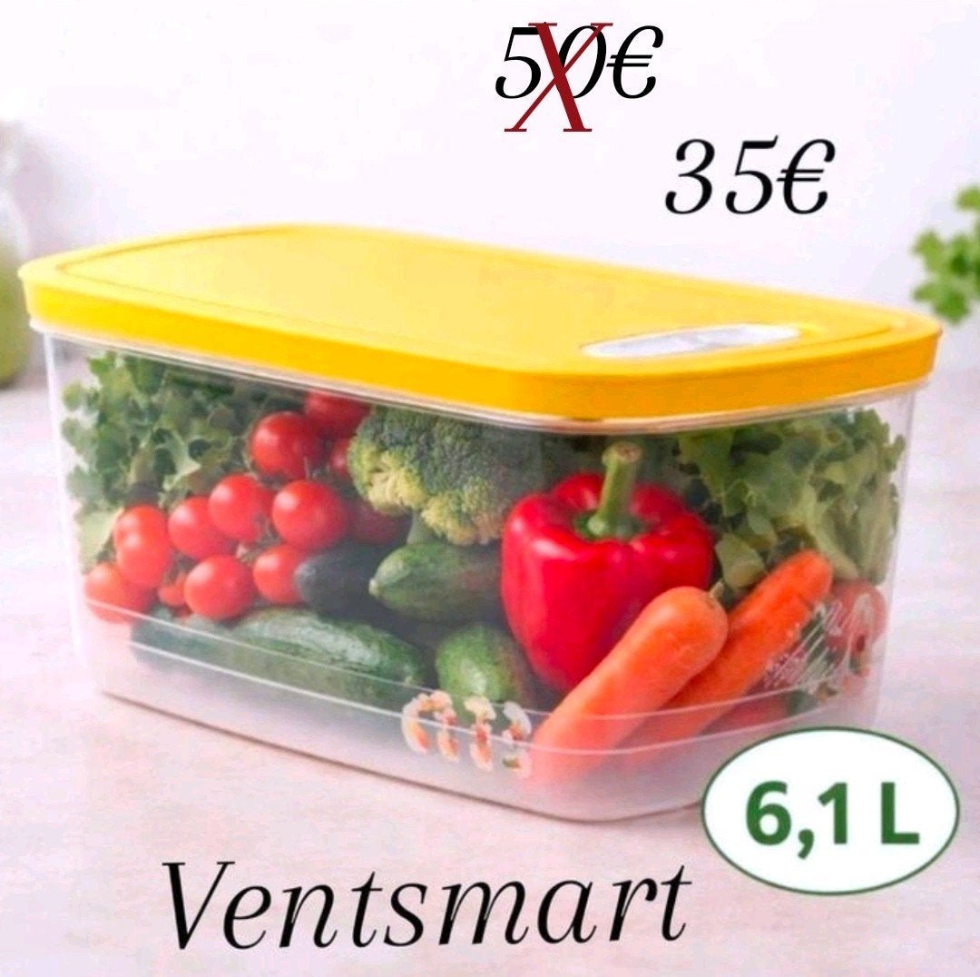 Ventilateur Tupperware, Maison & Meubles, Cuisine| Tupperware, Enlèvement ou Envoi, Neuf