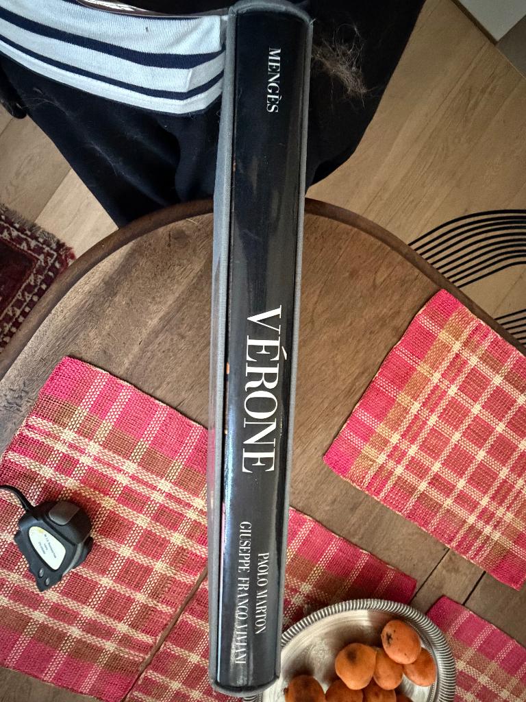 Vends Grand Livre de photos VERONE, Ophalen of Verzenden, Zo goed als nieuw, Overige onderwerpen