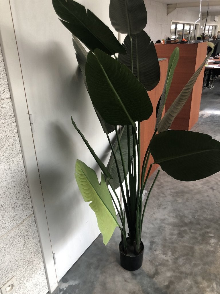 grote kunstplant, Vert, 160 cm, Plante artificielle, Autres marques