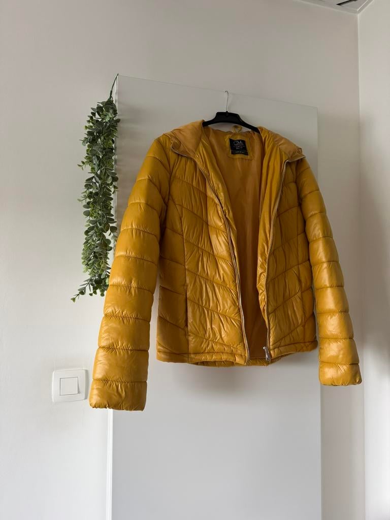 Veste avec capuche pour dames, Taille 38/40 (M), Autres couleurs, Enlèvement, Porté