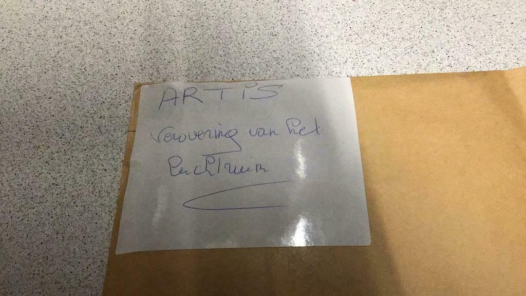 Artis verovering van het luchtruim (z K3), Verzamelen, Ophalen of Verzenden, Nieuw, Overige onderwerpen, Prent